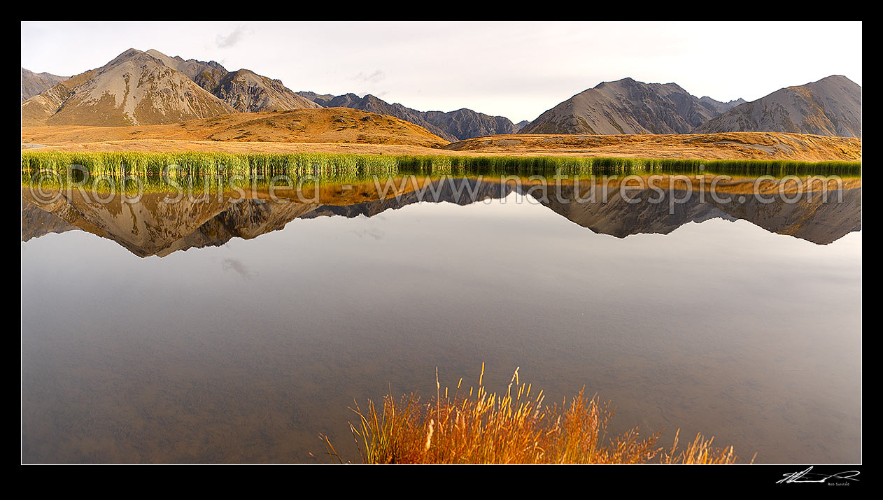 Image of Lake Sedgemere reflecting perfectly at Sedgemere lakes. Turk Ridge left, Stafford Ridge right. Panorama, Molesworth Station, Marlborough District, Marlborough Region, New Zealand (NZ) stock photo image