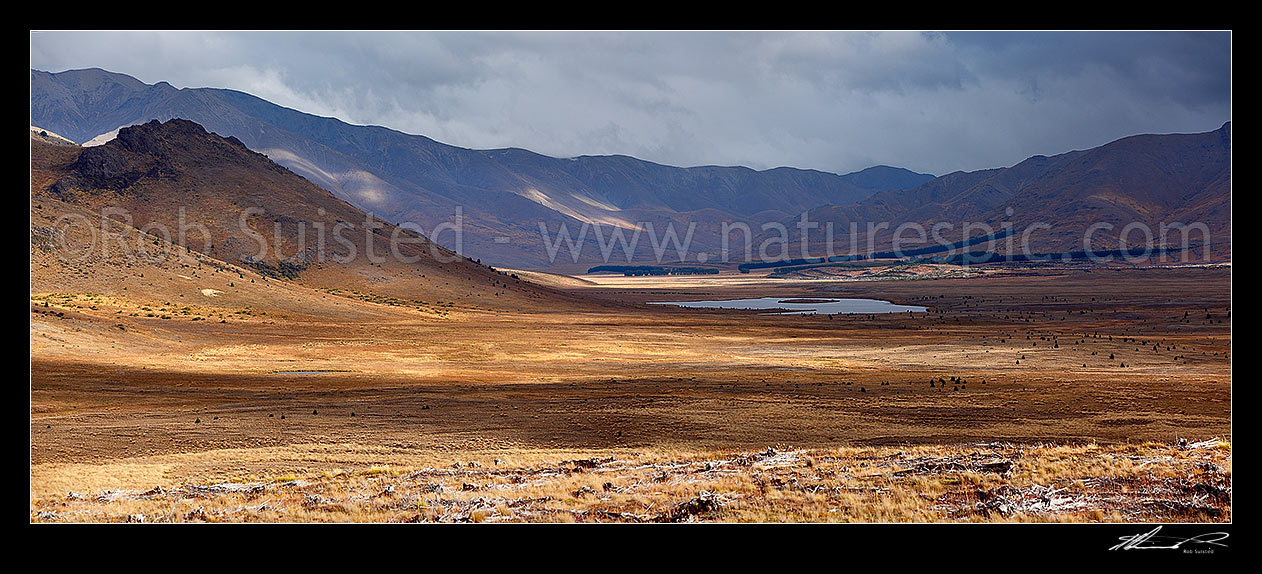 Image of Island Lake at Tarndale and Sedgemere Tarns, with Tarndale homestead, Alma River valley, Boddington Range in distance. Panorama, Molesworth Station, Marlborough District, Marlborough Region, New Zealand (NZ) stock photo image