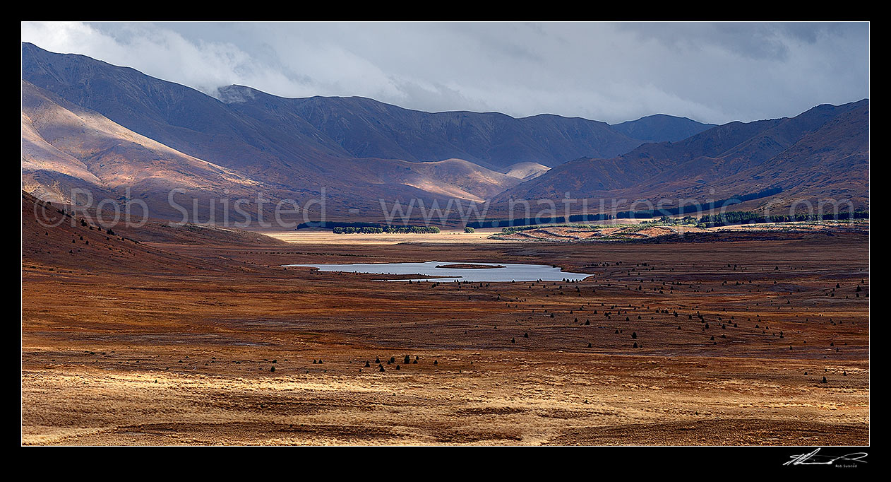 Image of Island Lake at Tarndale and Sedgemere Tarns, with Tarndale homestead, Alma River valley, Boddington Range in distance. Panorama, Molesworth Station, Marlborough District, Marlborough Region, New Zealand (NZ) stock photo image