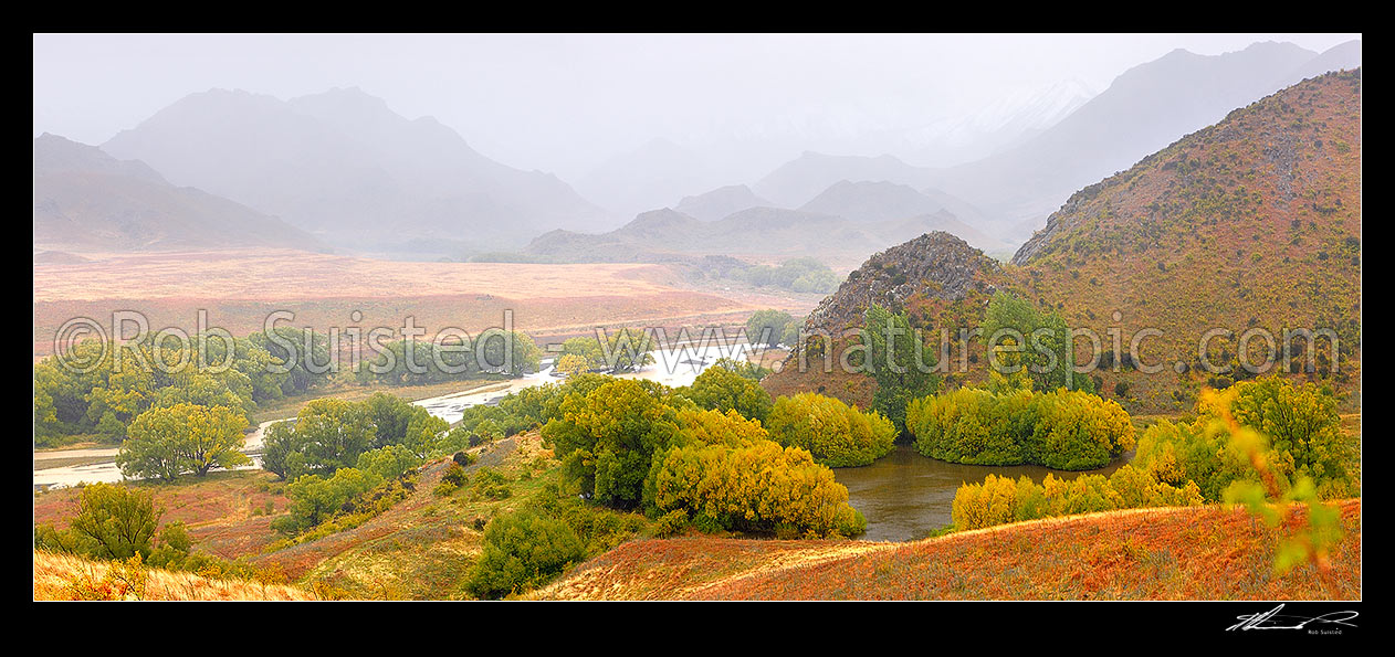 Image of Rain and bad weather in Yeo Stream, headwaters of the Awatere River Valley. Yellowing will trees late in the season. Panorama, Molesworth Station, Marlborough District, Marlborough Region, New Zealand (NZ) stock photo image