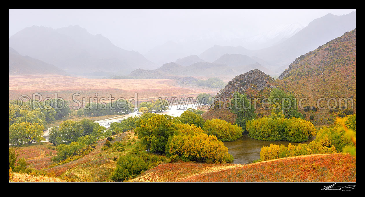 Image of Rain and bad weather in Yeo Stream, headwaters of the Awatere River Valley. Yellowing will trees late in the season. Panorama, Molesworth Station, Marlborough District, Marlborough Region, New Zealand (NZ) stock photo image