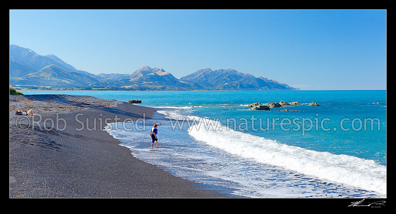 Image of Swimmers enjoying a Kaikoura beach, with mountains behind. Panorama, Kaikoura, Kaikoura District, Canterbury Region, New Zealand (NZ) stock photo image