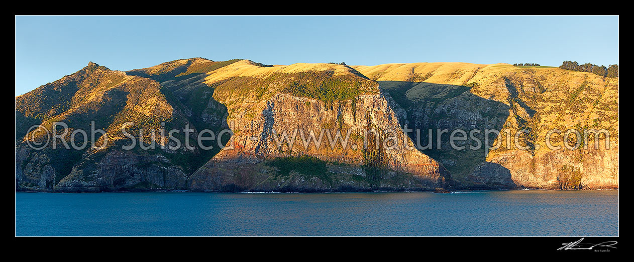 Image of Akaroa Harbour dramatic 200m high volcanic cliffs between Nikau Palm Gully and Dan Rogers Creek (right). Panorama, Banks Peninsula, Christchurch City District, Canterbury Region, New Zealand (NZ) stock photo image