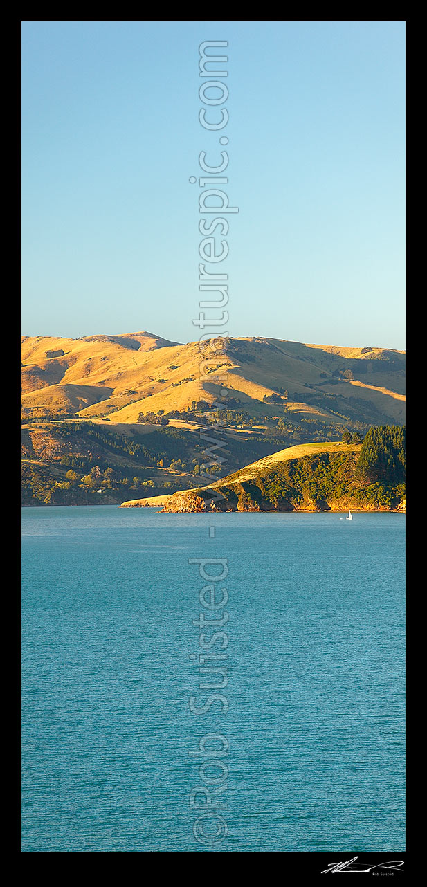 Image of Akaroa Harbour with sailboat in front of Lushington Bay, Takamatua, with Robinsons Bay centre. Late summer vertical panorama, Banks Peninsula, Christchurch City District, Canterbury Region, New Zealand (NZ) stock photo image