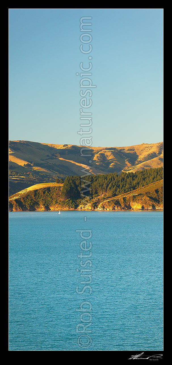 Image of Akaroa Harbour with sailboat in front of Lushington Bay, Takamatua. Late summer vertical panorama, Banks Peninsula, Christchurch City District, Canterbury Region, New Zealand (NZ) stock photo image