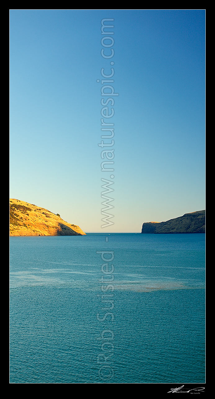 Image of Akaroa Harbour entrance looking south on a late summer evening. Vertical panorama, Banks Peninsula, Christchurch City District, Canterbury Region, New Zealand (NZ) stock photo image