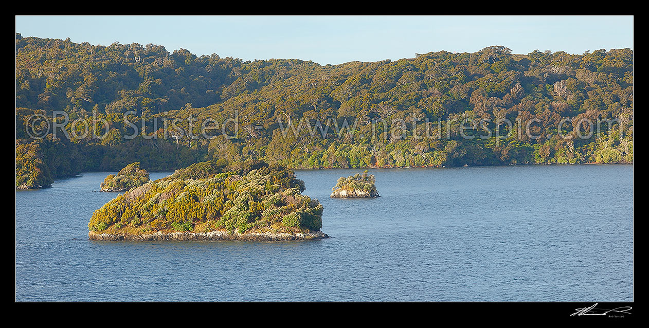 Image of Paterson Inlet, with Dirty Island in foreground. Panorama, Paterson Inlet / Whaka a Te Wera, Stewart Island District, Southland Region, New Zealand (NZ) stock photo image