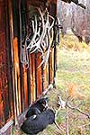 Lake McRae Hut