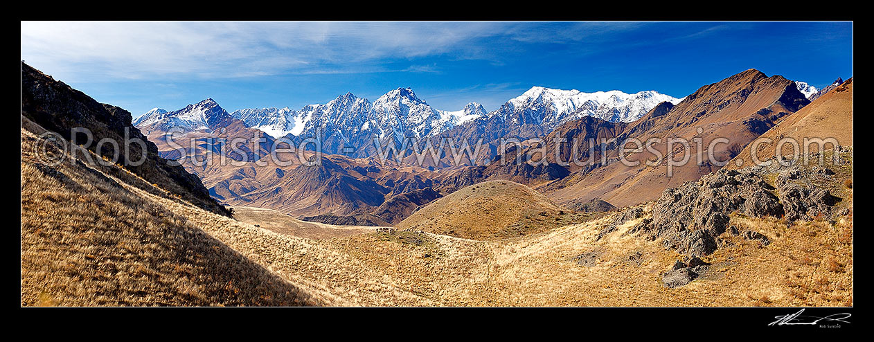 Image of Mount Tapuae-o-Uenuku (2885m) above Muller Station and a flock of Merino sheep grazing. Autumn. Inland Kaikoura Range panorama, Awatere Valley, Marlborough District, Marlborough Region, New Zealand (NZ) stock photo image