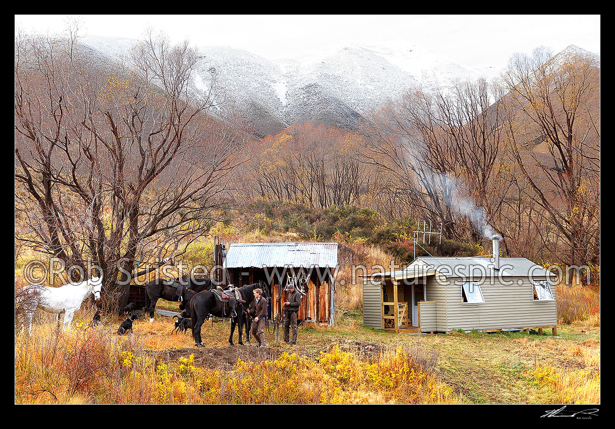 Image of Lake McRae Huts, old and new, with stockmen, horses and dogs getting ready for a muster day, Molesworth Station, Marlborough District, Marlborough Region, New Zealand (NZ) stock photo image