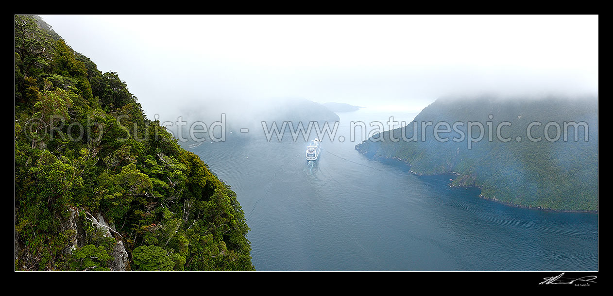 Image of Milford Sound with Princess Cruises Diamond Princess vessel visiting on an moody early morning. Aerial panorama, Milford Sound, Fiordland National Park, Southland District, Southland Region, New Zealand (NZ) stock photo image