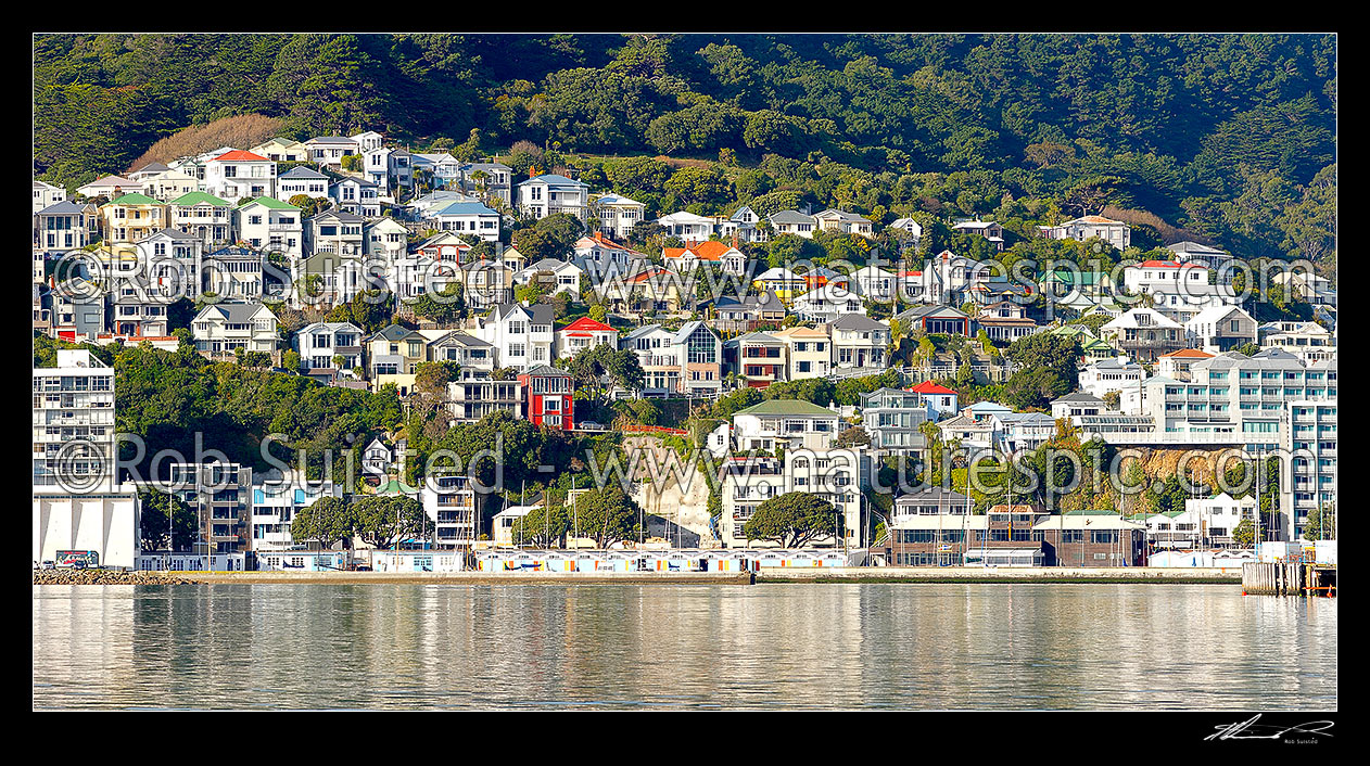 Image of Oriental Bay houses perched above Oriental Parade, Wellington Harbour and Port Nicholson boat sheds. Huge file size. Panorama, Wellington, Wellington City District, Wellington Region, New Zealand (NZ) stock photo image