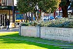 Palmerston North The Square