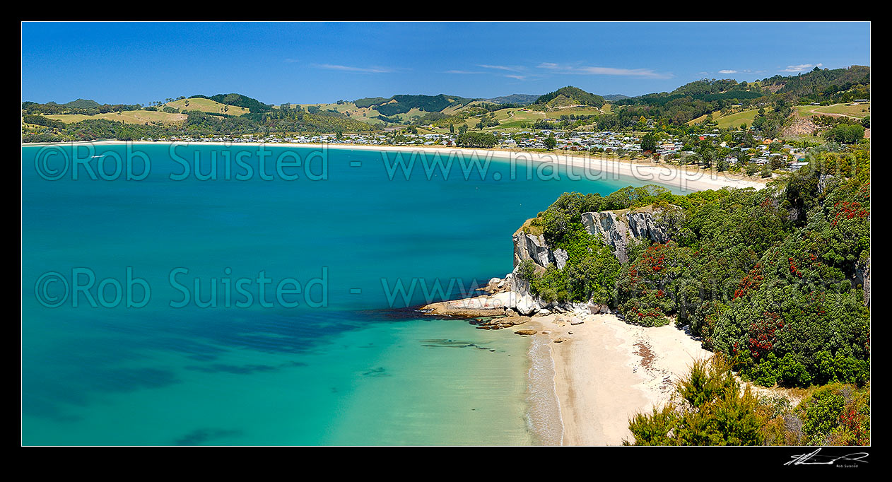 Image of Cooks Beach in Cooks Bay, inside Mercury Bay. Lonely Bay in foreground below Shakespeare Cliff with pohutukawa trees in flower. Panorama, Whitianga, Coromandel Peninsula, Thames-Coromandel District, Waikato Region, New Zealand (NZ) stock photo image