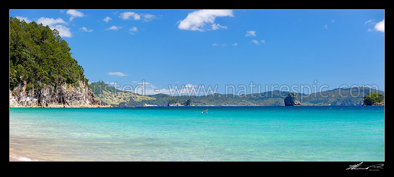 Image of Hahei beach in summer with a lone sea kayaker paddling along the coast. Panorama, Hahei, Coromandel Peninsula, Thames-Coromandel District, Waikato Region, New Zealand (NZ) stock photo image