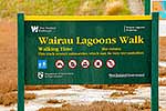 Wairau Lagoons Walk