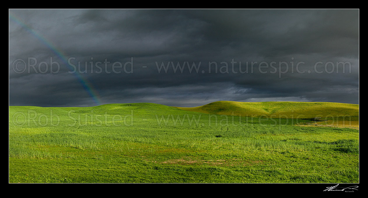 Image of Dark moody stormy skies brewing above lush summer grass farmland in Central Hawke's Bay, with rainbow. Panorama, Dannevirke, Tararua District, Manawatu-Wanganui Region, New Zealand (NZ) stock photo image