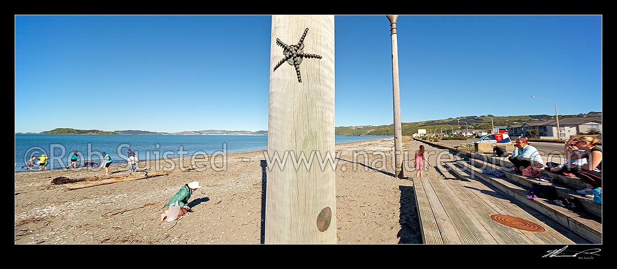 Image of Petone Bech and the Oars sculpture called 'Salute' by John Calvert 2003, recognising those who arrived on Petone's shores. Panorama, Petone, Hutt City District, Wellington Region, New Zealand (NZ) stock photo image