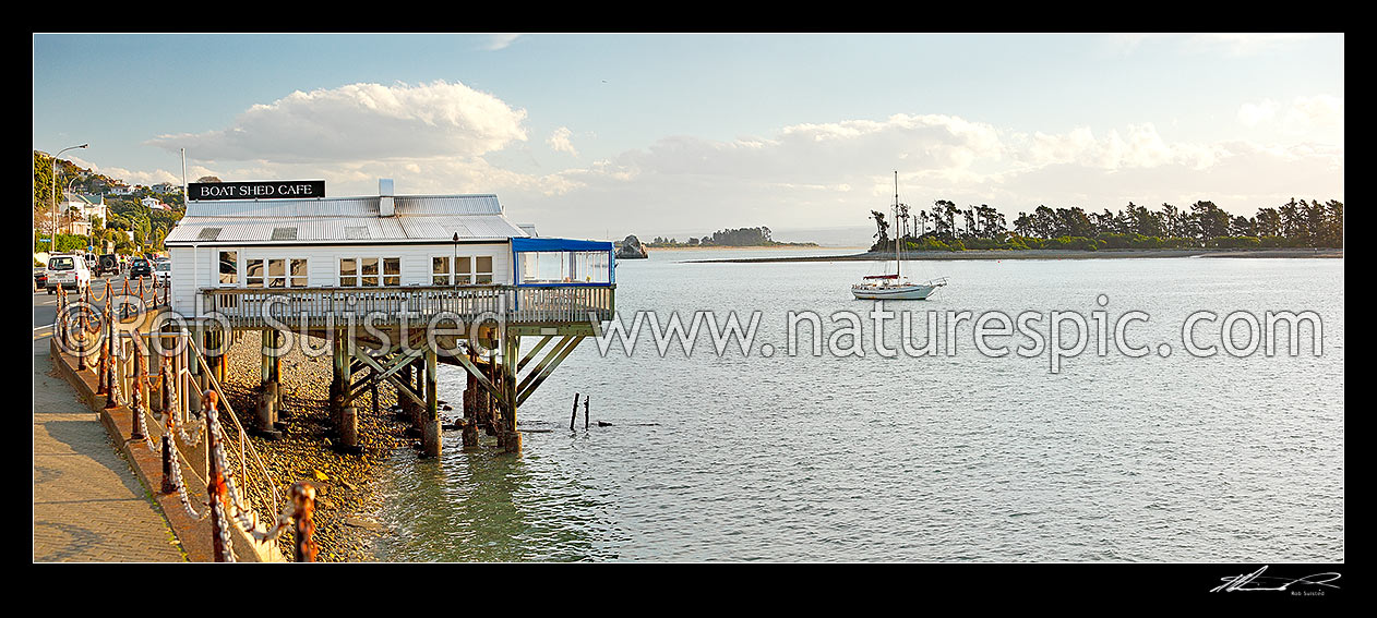 Image of The Boatshed Caf on the Nelson waterfront, with moored yacht in front of Haulashore Island. Panorama, Nelson, Nelson City District, Nelson Region, New Zealand (NZ) stock photo image