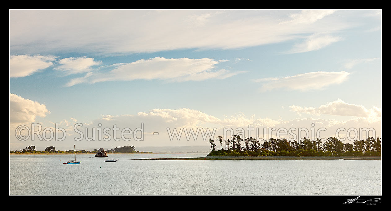 Image of Yachts moored in Nelson harbour with Haulashore Island right, and Tahunanui Beach behind. Panorama, Nelson, Nelson City District, Nelson Region, New Zealand (NZ) stock photo image