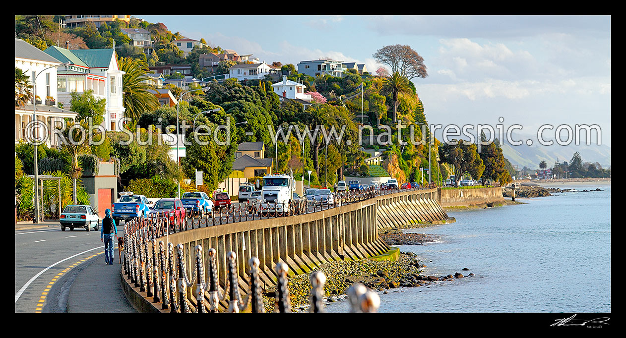 Image of Traffic, dog walker and homes on Wakefield Quay and Nelson waterfront, Nelson, Nelson City District, Nelson Region, New Zealand (NZ) stock photo image