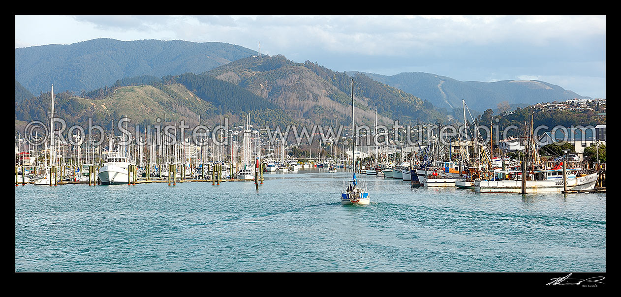 Image of Port Nelson with commercial wharf and boat marina, with yacht entering harbour. Panorama, Nelson, Nelson City District, Nelson Region, New Zealand (NZ) stock photo image