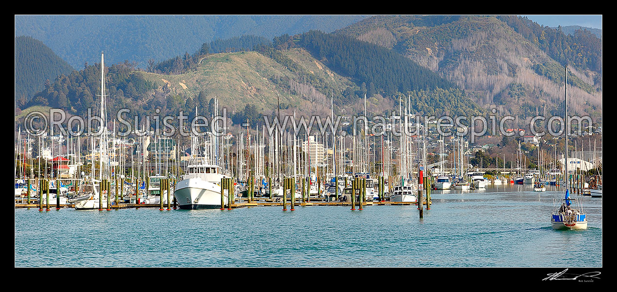 Image of Port Nelson boat marina, with yacht entering harbour. Panorama, Nelson, Nelson City District, Nelson Region, New Zealand (NZ) stock photo image