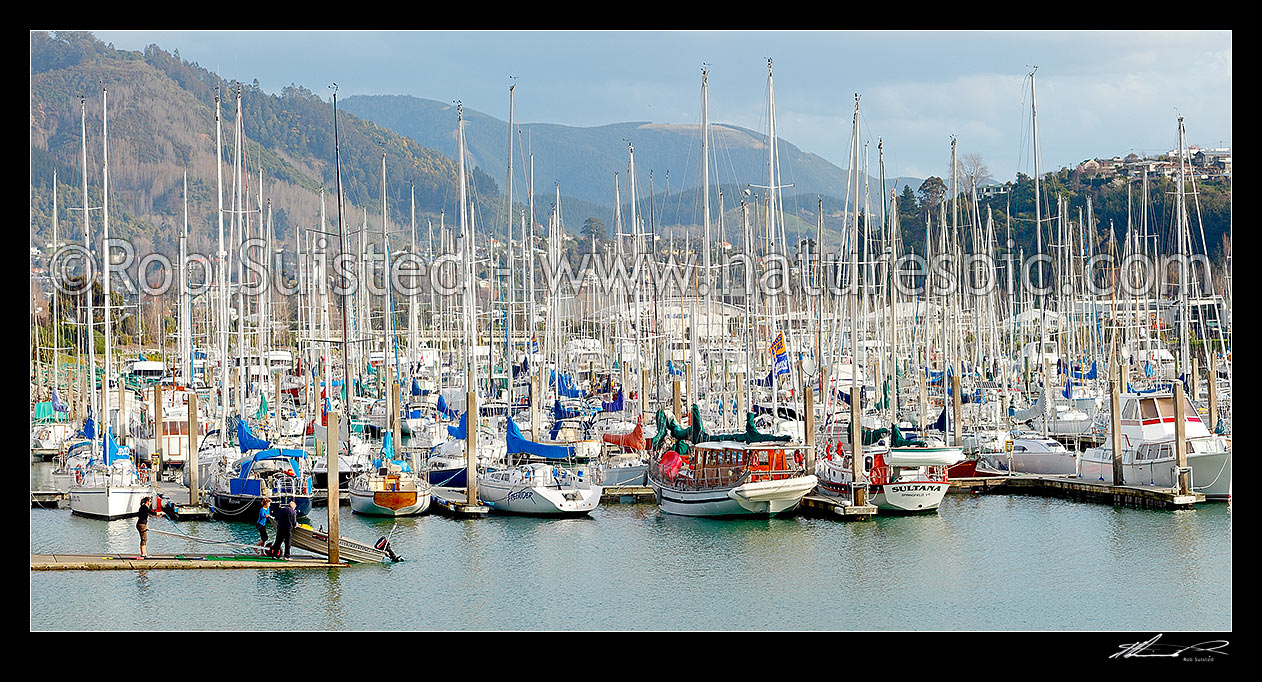 Image of Nelson marina with yachts, and recreational boats. Panorama, Nelson, Nelson City District, Nelson Region, New Zealand (NZ) stock photo image