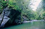 Tararua Forest Park