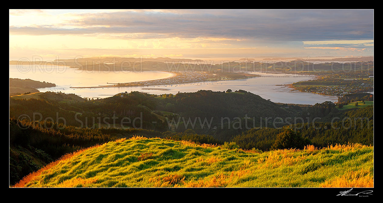 Image of Omaha Beach and Whangateau Harbour at dawn, with Kawau Island far left. Point Wells far right. Panorama, Leigh, Rodney District, Auckland Region, New Zealand (NZ) stock photo image