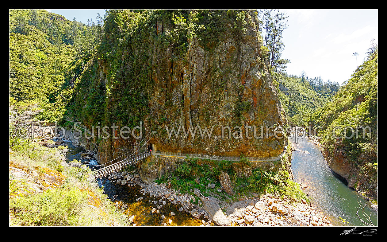 Image of Mining Heritage and precipitous slopes of the lower Waitawheta River Gorge, site of the Woodstock and Talisman mines and batteries. Windows walk track, Karangahake, Hauraki District, Waikato Region, New Zealand (NZ) stock photo image