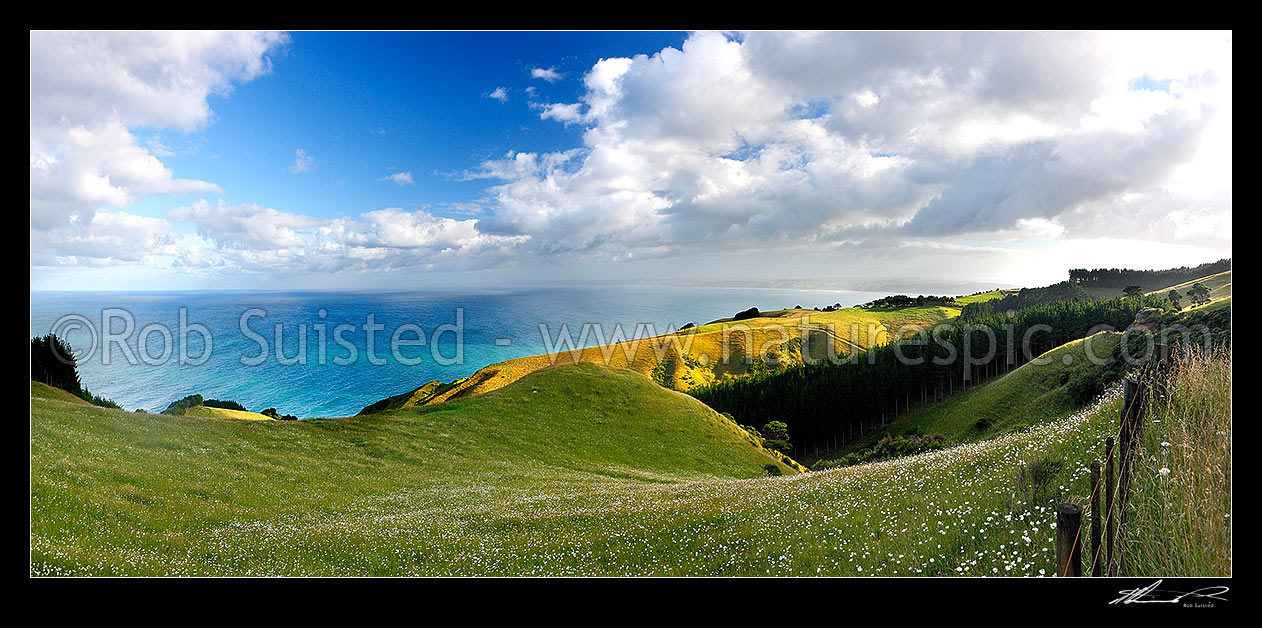 Image of Raglan coast farmland panorama looking north over the sea, Raglan, Waikato District, Waikato Region, New Zealand (NZ) stock photo image