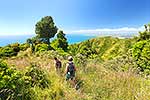 Mt Karioi track walkers, Raglan