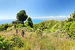 Mt Karioi track walkers, Raglan