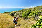 Mt Karioi track walkers, Raglan