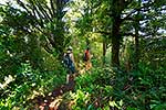 Mt Karioi track walkers, Raglan