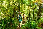 Mt Karioi track walkers, Raglan