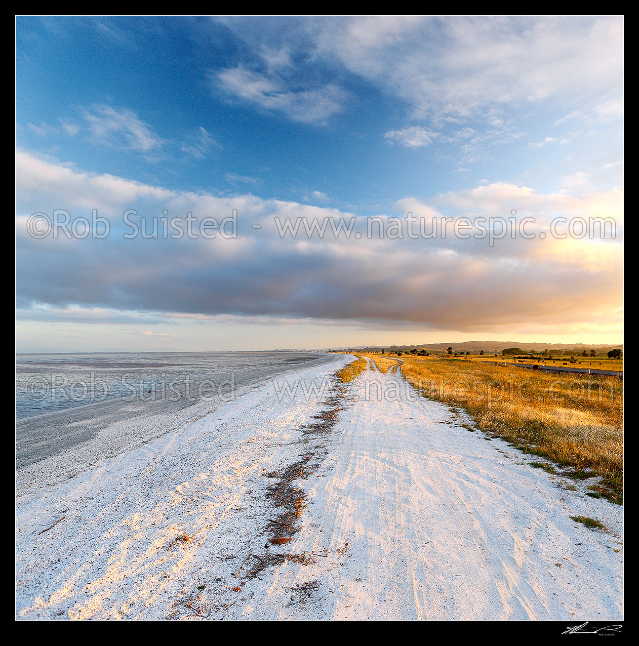 Image of Evening light on white shell banks near Miranda on the Hauraki Gulf coast. Square format, Kaiaua, Franklin District, Waikato Region, New Zealand (NZ) stock photo image