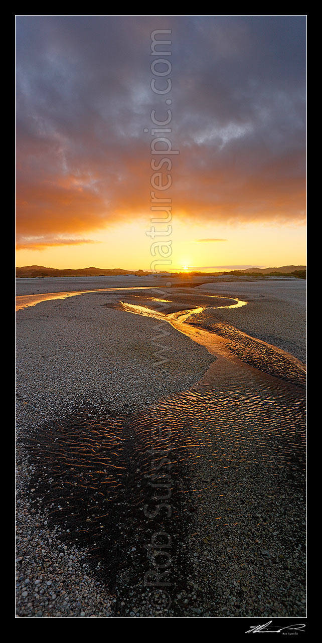 Image of Sunset over shellbanks and stream on the Hauraki Gulf coast near Miranda. Vertical panorama, Kaiaua, Franklin District, Waikato Region, New Zealand (NZ) stock photo image