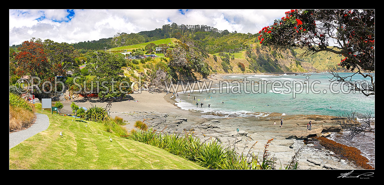 Image of Goat Island (Cape Rodney-Okakari Point) Marine Reserve and beach with summer visitors. Panorama, Leigh, Rodney District, Auckland Region, New Zealand (NZ) stock photo image