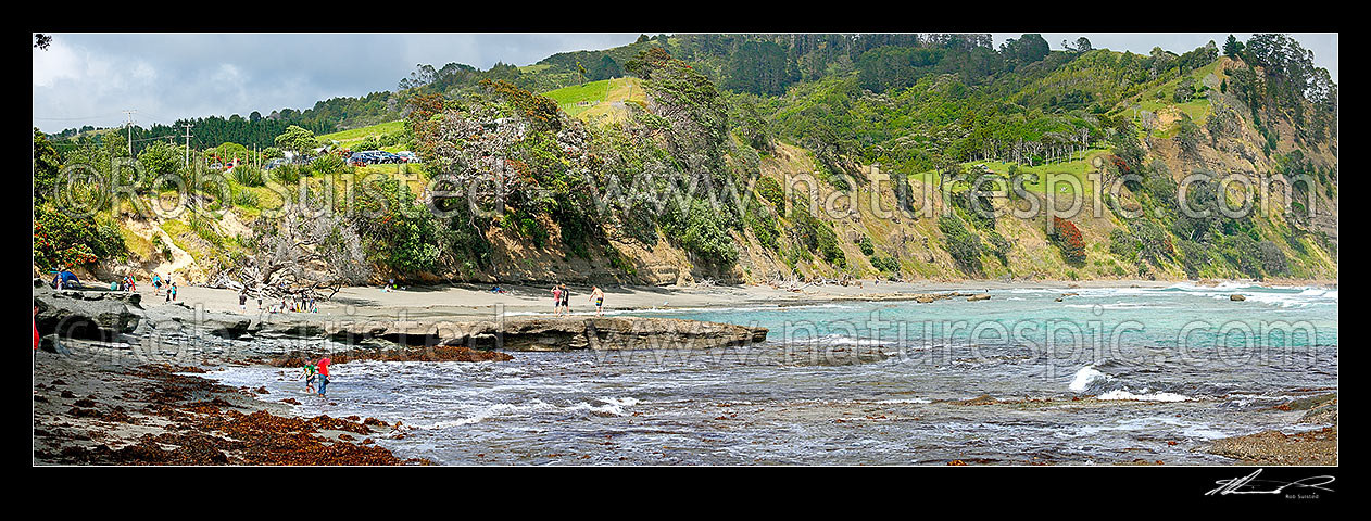 Image of Goat Island (Cape Rodney-Okakari Point) Marine Reserve and beach with summer visitors. Panorama, Leigh, Rodney District, Auckland Region, New Zealand (NZ) stock photo image