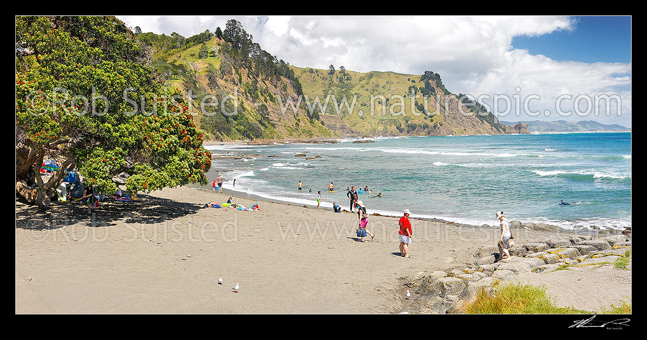 Image of Goat Island (Cape Rodney-Okakari Point) Marine Reserve and beach with summer visitors. Panorama, Leigh, Rodney District, Auckland Region, New Zealand (NZ) stock photo image