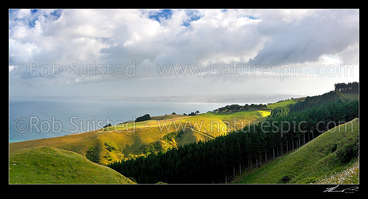 Image of Raglan coast farmland and looking north over the sea, Raglan, Waikato District, Waikato Region, New Zealand (NZ) stock photo image