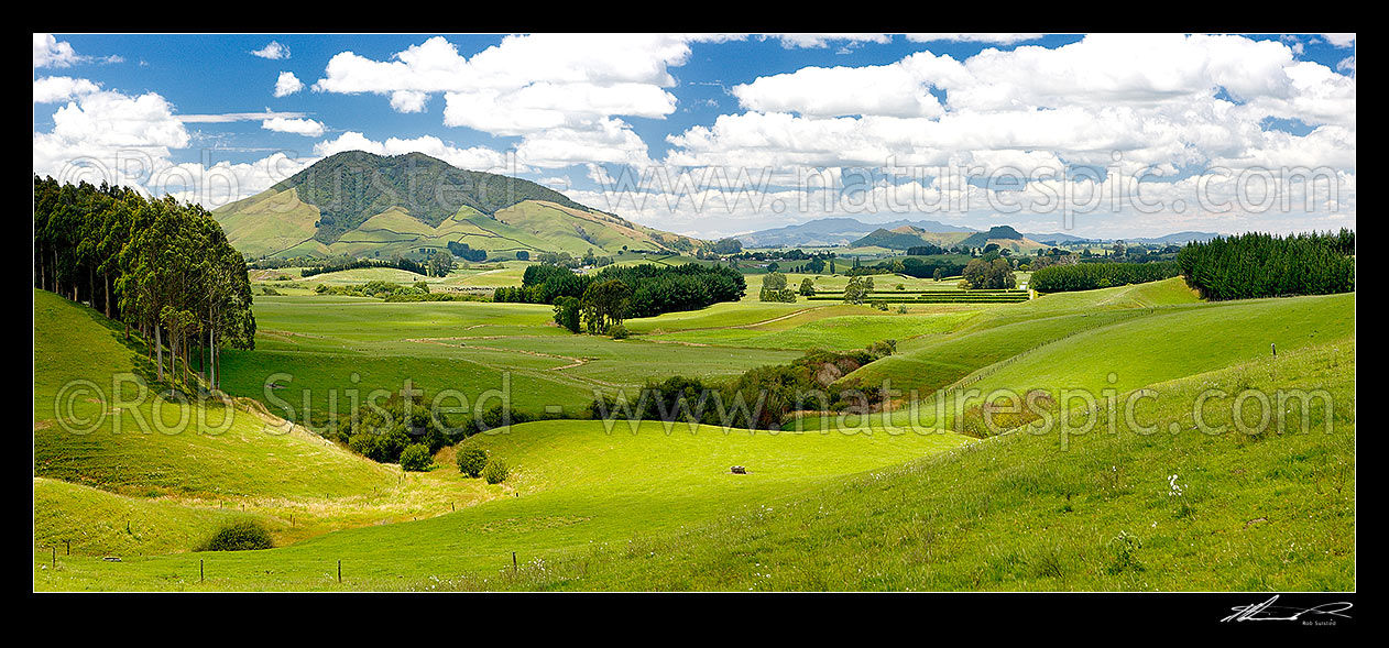 Image of Waikato dairy farmland by the Waipa River, with Mount Kakepuku (left), and Te Kawa (centre right). Maungatautari beyond. Panaroma, Tihiroa, Otorohanga District, Waikato Region, New Zealand (NZ) stock photo image