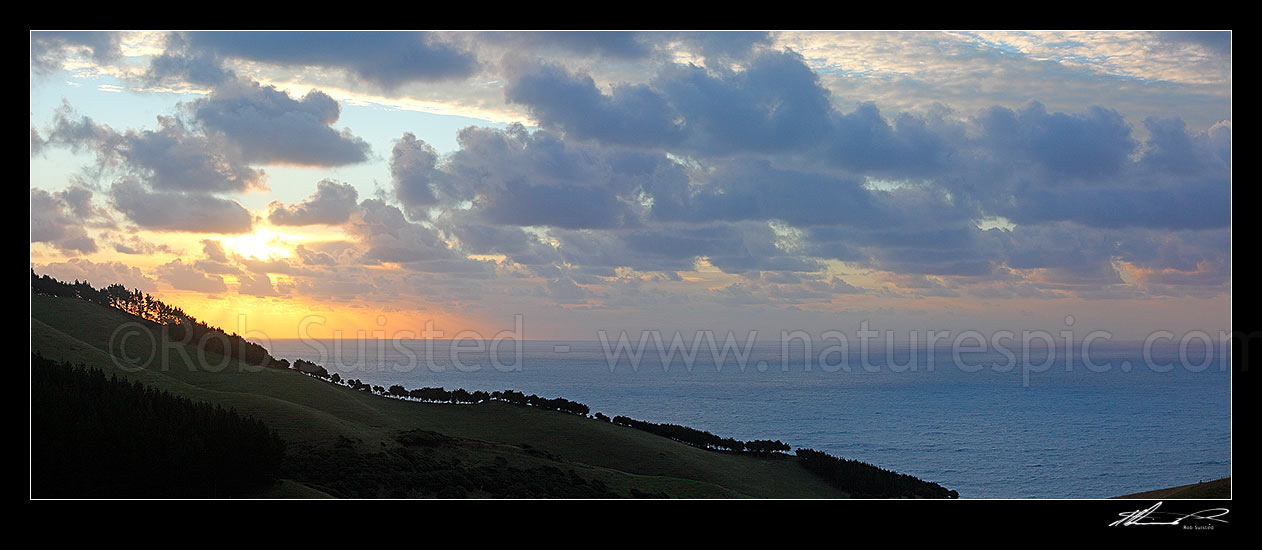 Image of Sunset over the sea, farmland and windbreak tree row, near Raglan. Panorama, Raglan, Waikato District, Waikato Region, New Zealand (NZ) stock photo image