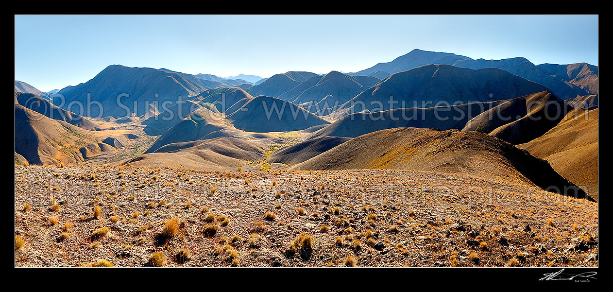 Image of Molesworth landscape, Guide River and Barefell Pass left, Half Moon Stream centre and Dillion Cone (2173m right). Panorama, Molesworth Station, Marlborough District, Marlborough Region, New Zealand (NZ) stock photo image