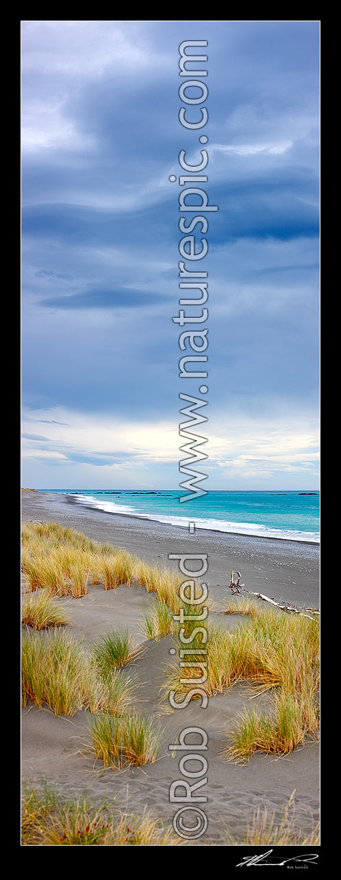 Image of Kekerengu Beach and sand dunes on the Kaikoura Coast, with brooding skies. Vertical panorama, Kekerengu, Kaikoura District, Canterbury Region, New Zealand (NZ) stock photo image