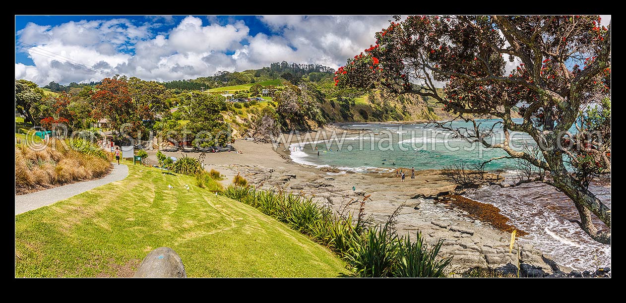 Image of Goat Island (Cape Rodney-Okakari Point) Marine Reserve and beach with summer visitors. Panorama, Leigh, Rodney District, Auckland Region, New Zealand (NZ) stock photo image