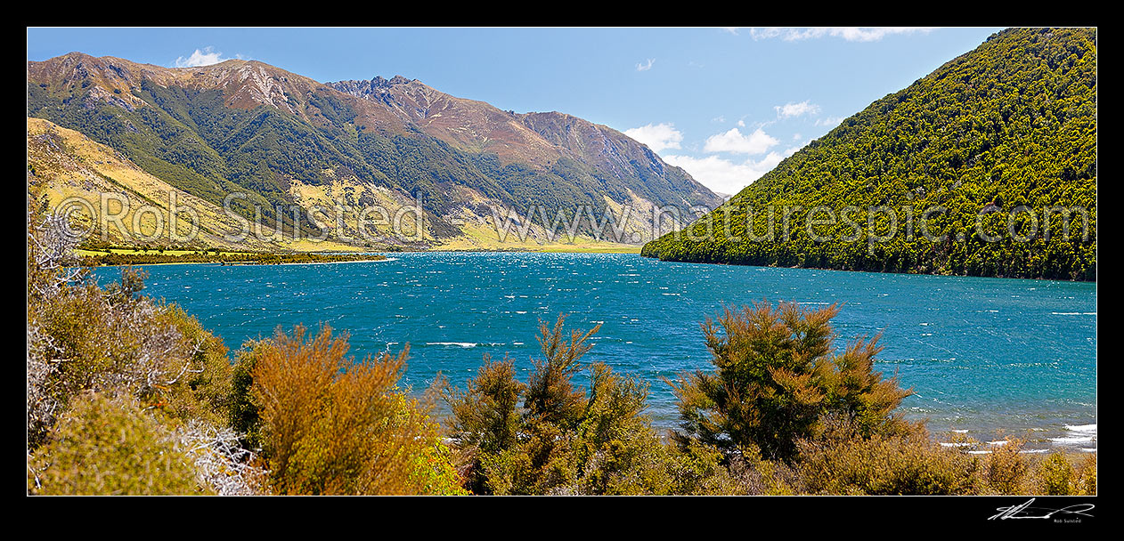 Image of Lake Taylor panorama. Lake Sumner Forest Park, Lake Sumner, Hurunui District, Canterbury Region, New Zealand (NZ) stock photo image