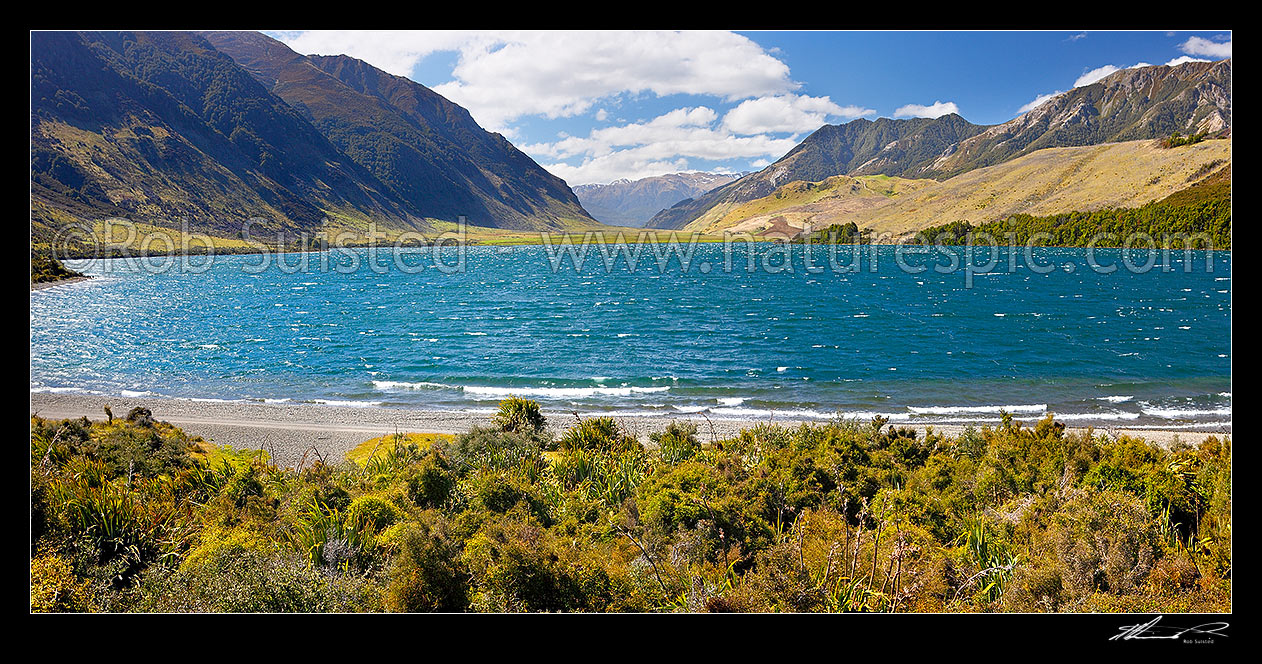 Image of Lake Taylor. Lake Sumner Forest Park. The Nelson Tops and Southern Alps in distance. Panorama, Lake Sumner, Hurunui District, Canterbury Region, New Zealand (NZ) stock photo image